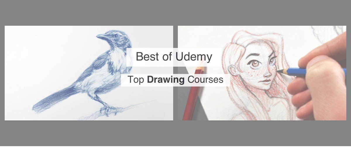 Top 2 Udemy Drawing courses by Reddit Upvotes  Reddsera