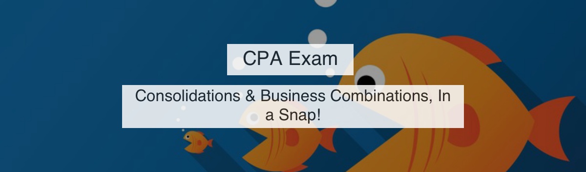 reddit-comments-on-cpa-exam-udemy-course-reddemy