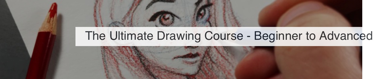 Reddit Comments On "The Ultimate Drawing Course - Beginner To Advanced ...